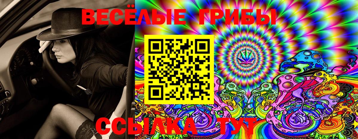 Галлюциногенные грибы GOLDEN TEACHER  Псилоцибиновые грибы Magic Shrooms  Ковров  Вход с VPN 